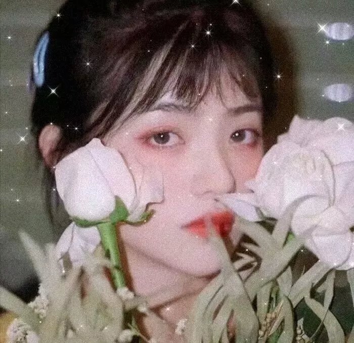 白粉飞 第三季
